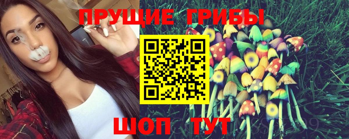 Псилоцибиновые грибы GOLDEN TEACHER Губаха