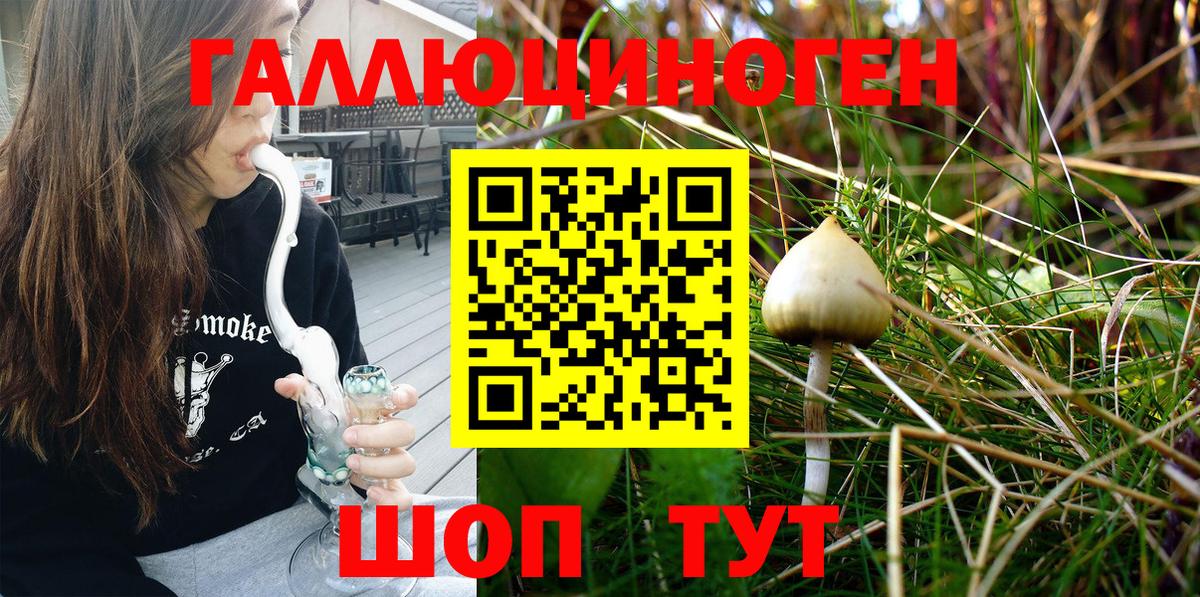 Псилоцибиновые грибы Magic Shrooms  Вход с VPN  Губаха  Псилоцибиновые грибы мицелий 